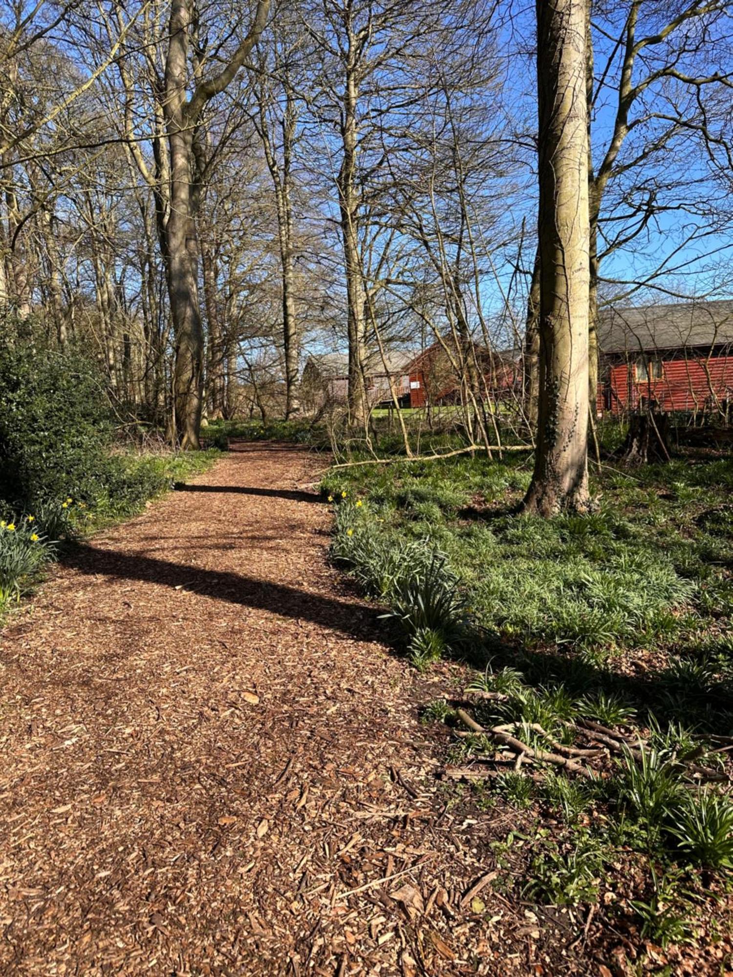 Max'S Woodland Lodge Bridlington Dış mekan fotoğraf