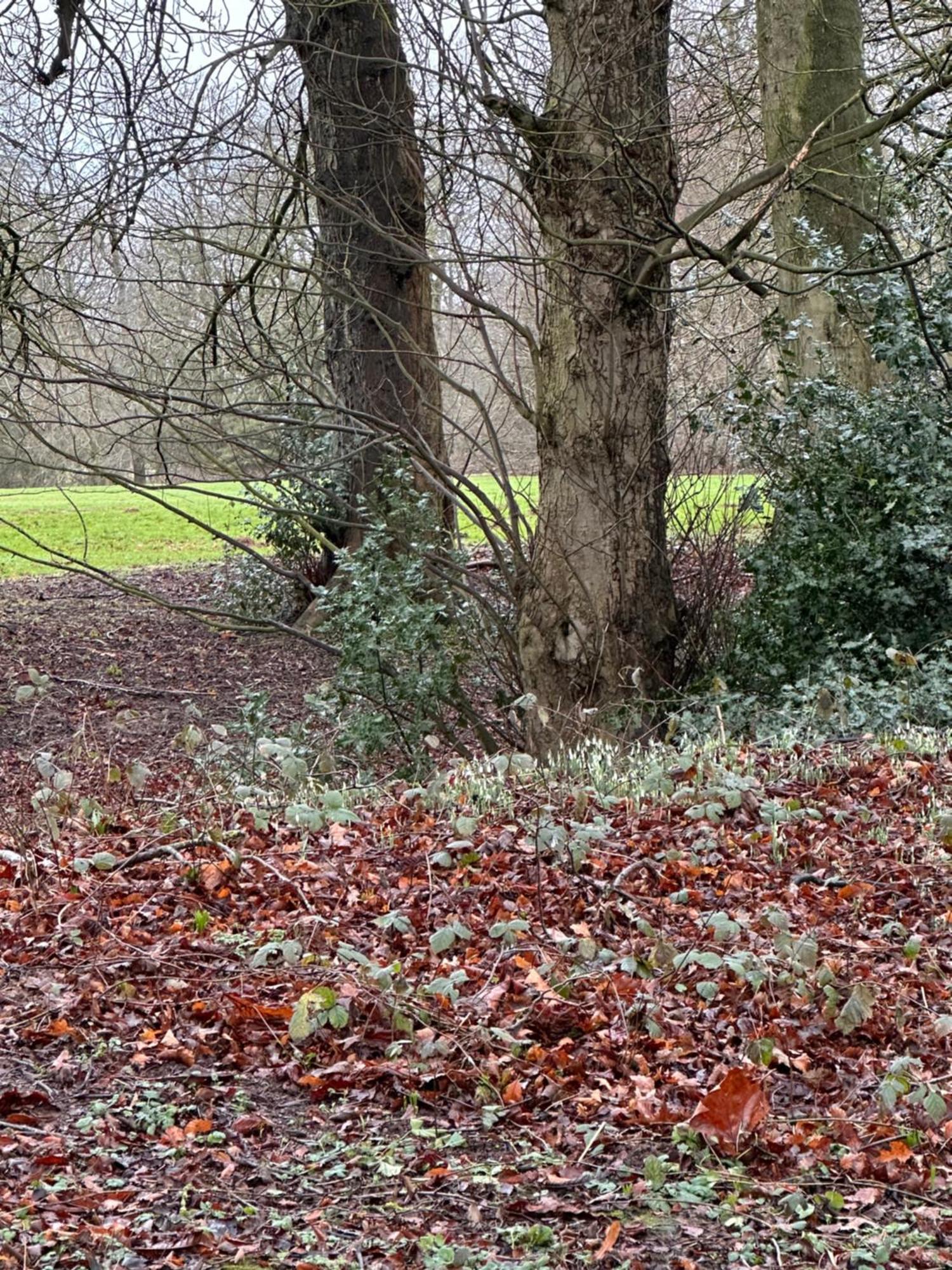Max'S Woodland Lodge Bridlington Dış mekan fotoğraf